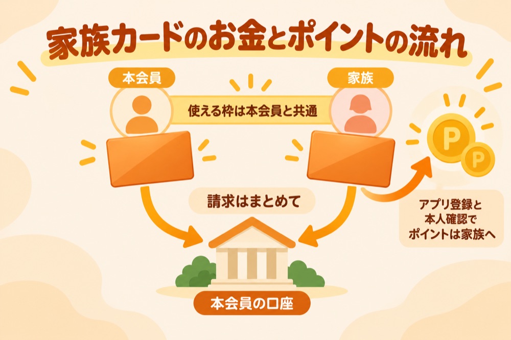 家族カードのお金とポイントの流れ:本会員と家族のカードの請求は本会員の口座にまとめて引き落とし。使える枠は本会員と共通。家族がアプリ登録と本人確認をするとポイントは家族へ